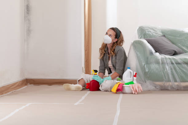 Reliable Mold Remediation contractor in Arlington, MA by WQB Mold Removal